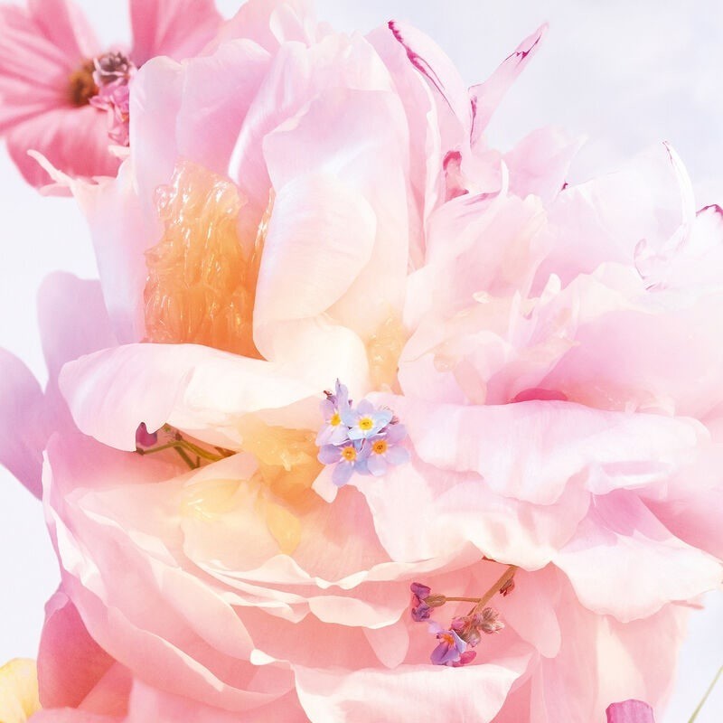 MISS BLOOMING BOUQUET