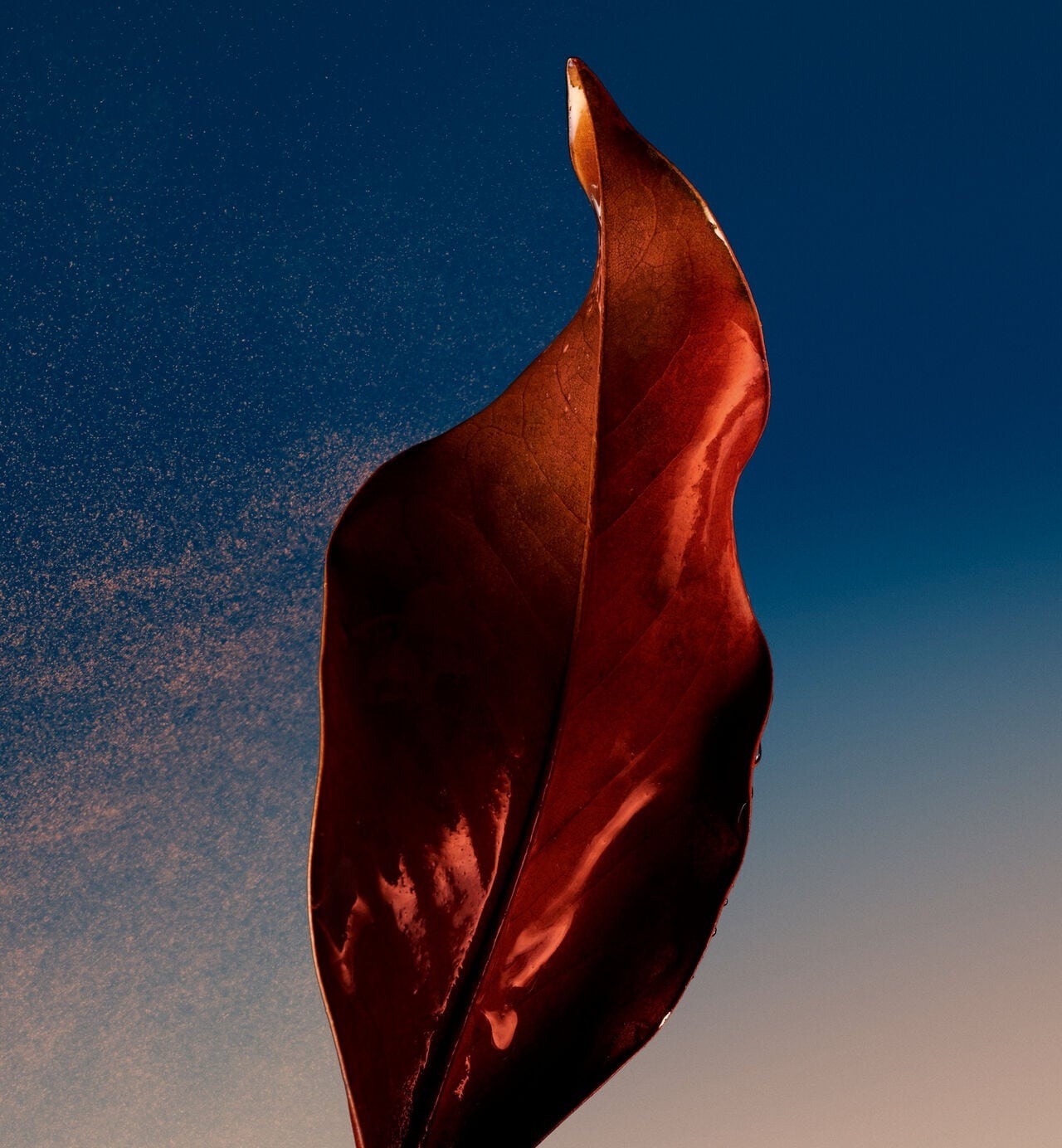 SAUVAGE EAU DE PARFUM