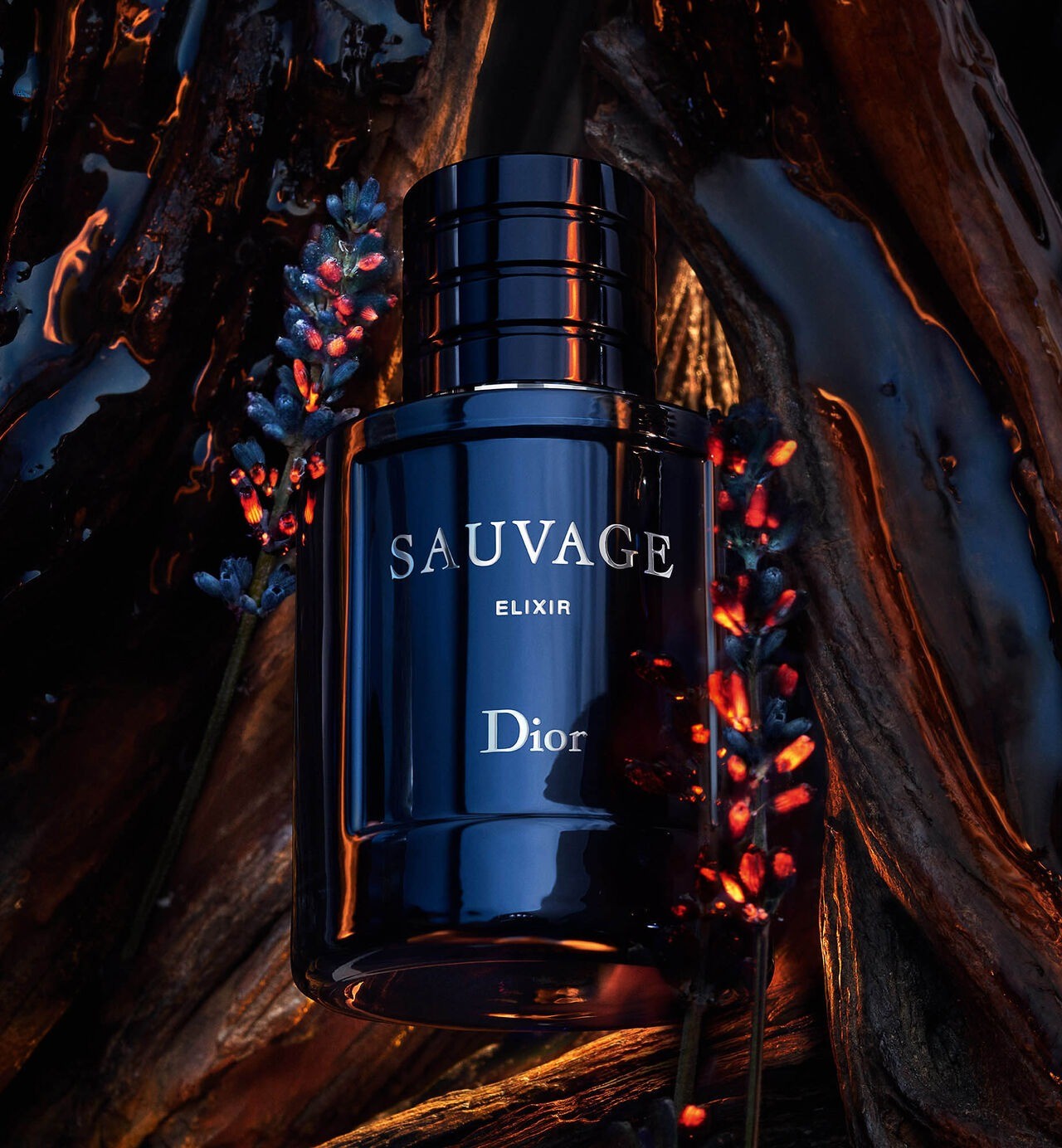 SAUVAGE ELIXIR
