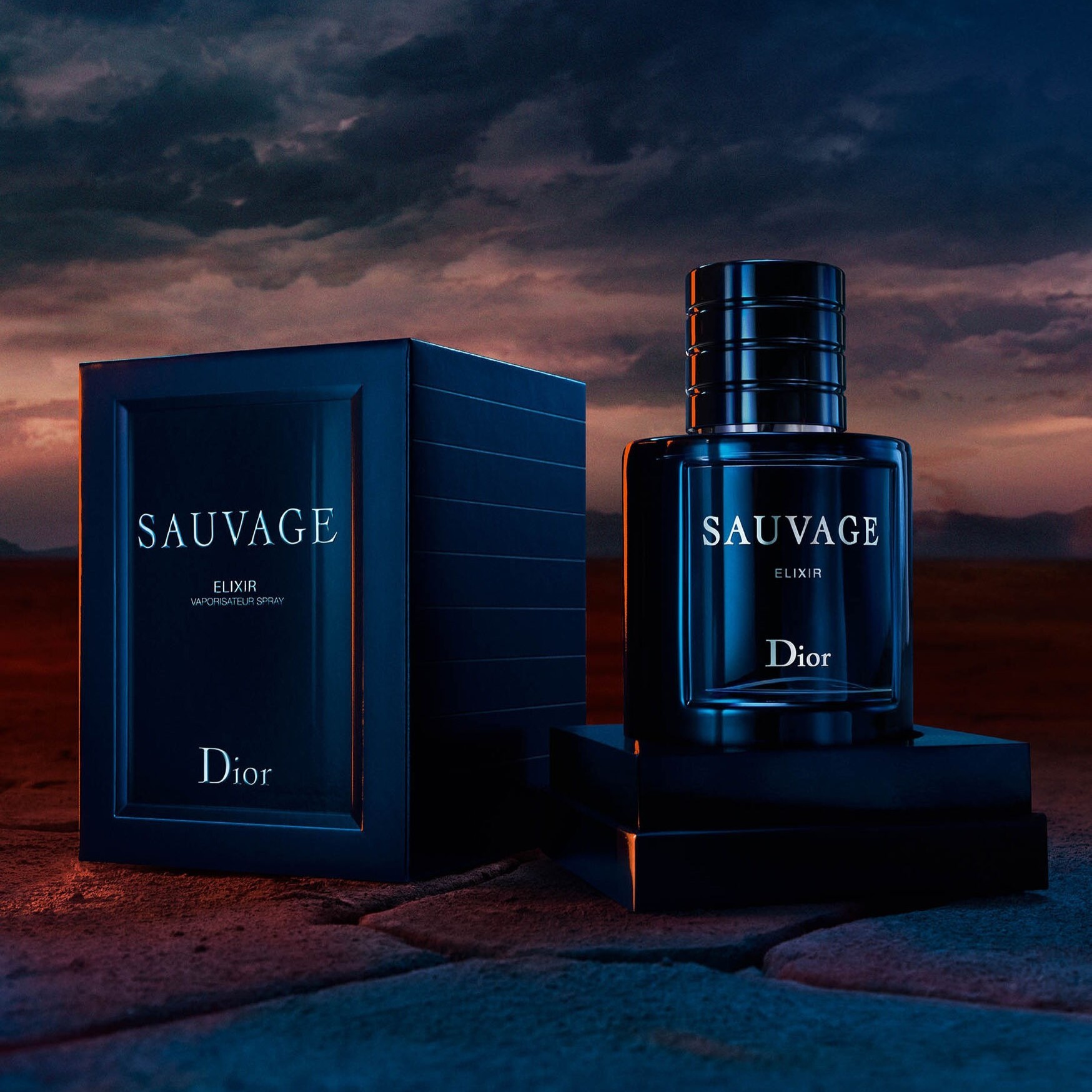 SAUVAGE ELIXIR