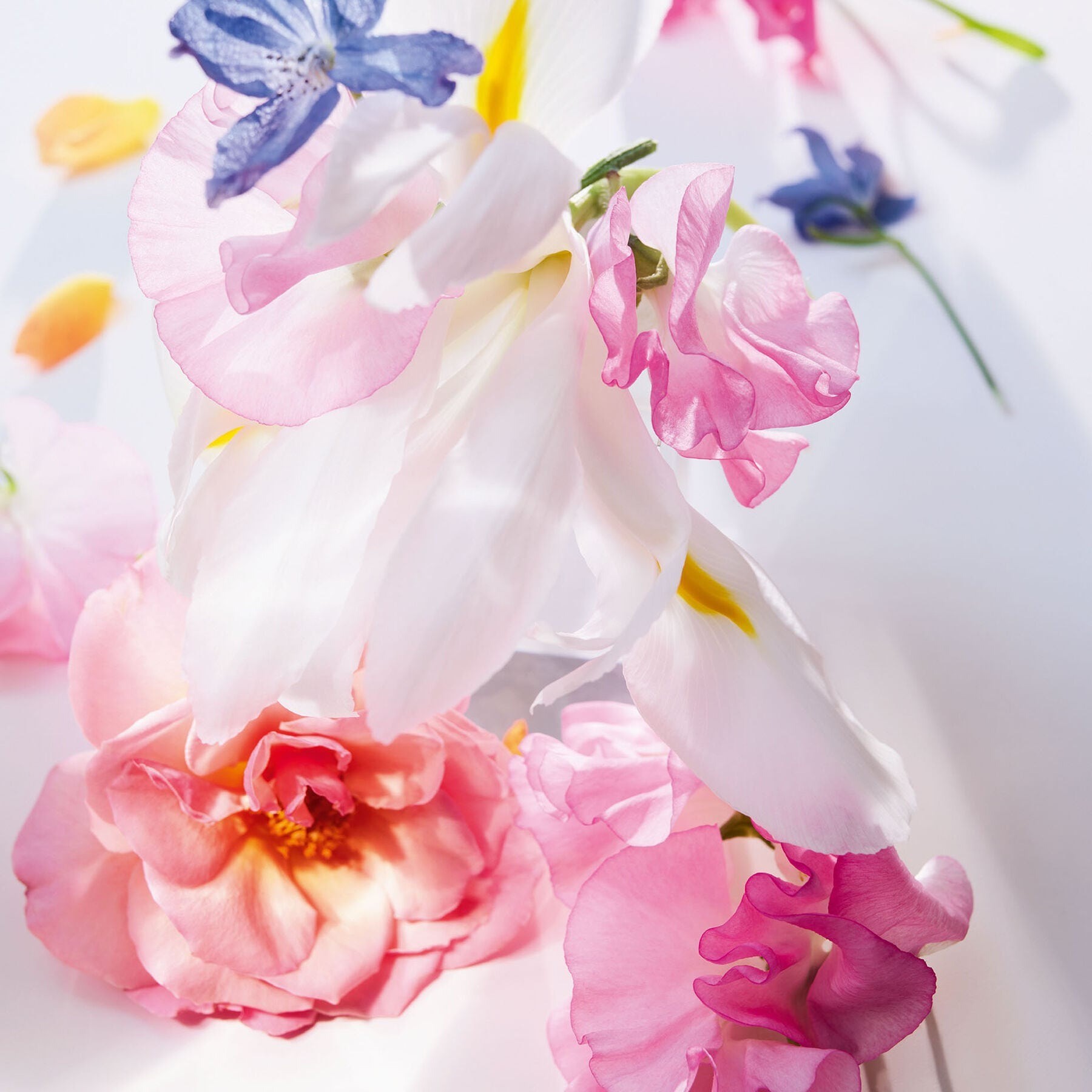 Miss Dior Eau de Parfum