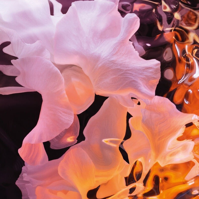 J'adore Eau de Parfum Infinissime