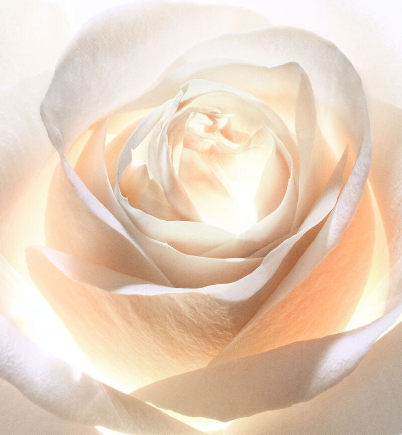 DIOR PRESTIGE LIGHT-IN-WHITE